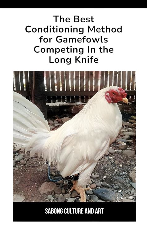 the best conditioning method for gamefowl|Enhancing the Performance of the Gamefowls.